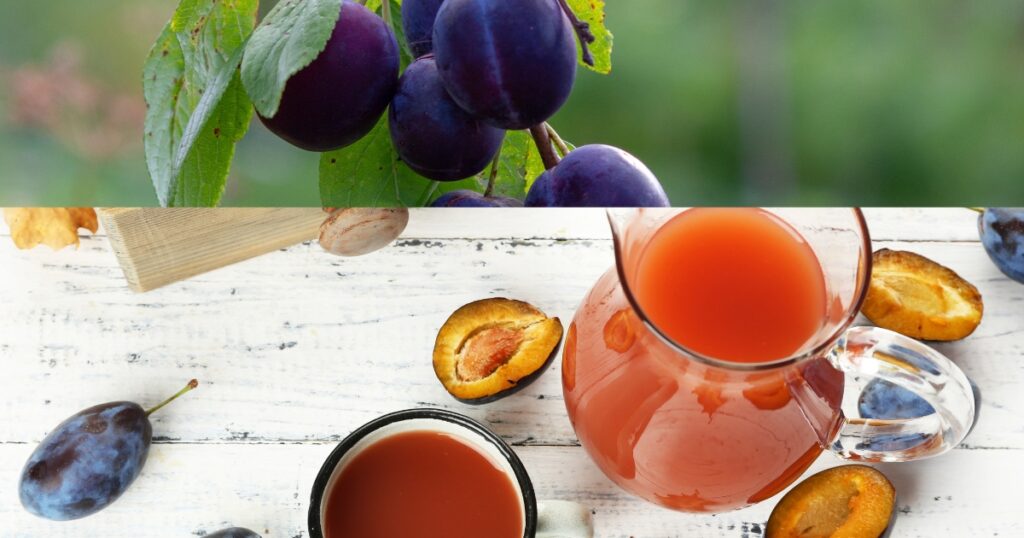 Prunes and Prune Juice: A Time-Tested Solution