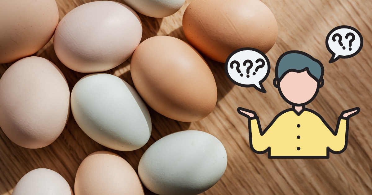 How Many Eggs to Eat a Day? Finding the Perfect Balance