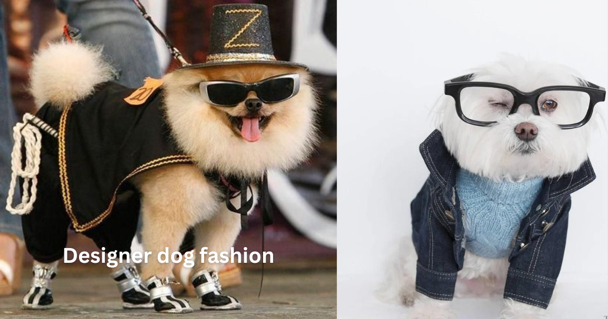 Barking Up the Right Tree: How Designer Dog Fashion Can Transform Your Pup’s Look!