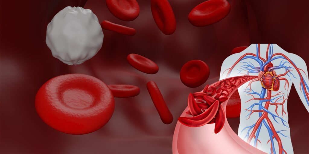 Red Blood Cells and Hemoglobin