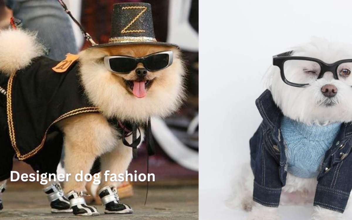 Designer Dog Fashion